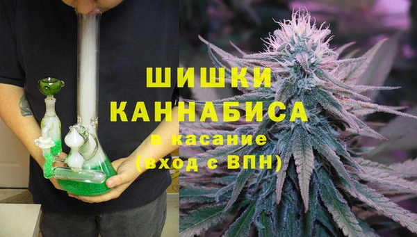 гидра Осинники