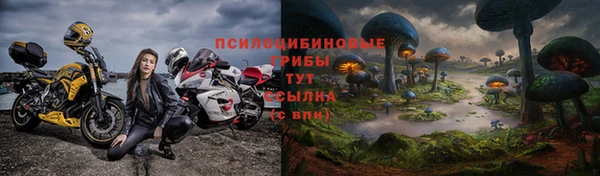 соль ск Балахна